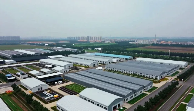 办公空间装修后维护的关键点与软装搭配建议